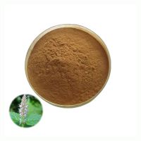 Bulk Ageratum Conyzoides Extract Powder 10:1 Natural Ageratum Extract