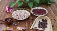 type small round red beans best price wholesale  suggar  white kidney beans Light Speckled Kidney Beans