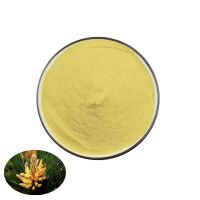 High Grade Pine Pollen Extract Natural Dried Pine Pollen Powder