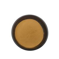 Wholesale Panax Notoginseng Extract Powder Sanchinoside 5% 70%