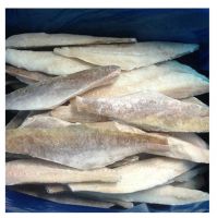 Good quality cheap price Frozen Frozen Hake Fish HGT / Whole Fish