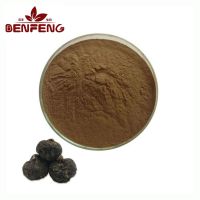 Wholesale Bulk Natto Extract Natto Freeze-dried Lyophilized Powder