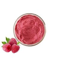 100% Organic Raspberry Fruit Powder Pure Natural Raspberry Juice Powder