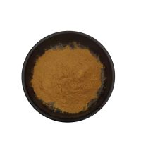 High Quality Horny Goat Extract Epimedium Extract 5-20% Icariin Powder