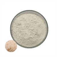 ISO Certificate Bulk Dietary Fiber Psyllium Husk Powder 99% Psyllium Seed Husk Extract