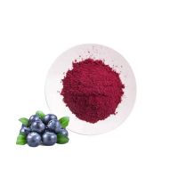 Wholesale Bulk Blueberry Powder Organic Blueberry Extract Powder Rich in Anthocyanin