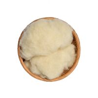 High Quality Washed Sheep Wool 100% Cashmere Sheep Wool Fiber With Lowest Price