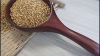 Yellow Millet in Husk for Bird Feeds Nature Chinese Max Style Color MACHINE Origin Type Size Dried yellow millet