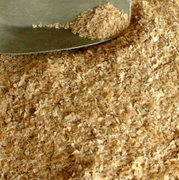 Finest quality wheat bran