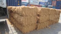 Raw Natural Coco Coir High Quality Coconut Coir Fiber with the best price