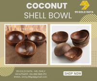 Eco-friendly coconut bowl for export/coconut bowl vietnam/coconut bowls shells