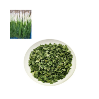 Dried Green Onion/Scallion for Export from Vietnam
