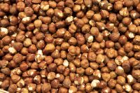 Best Quality Hazelnuts / Organic Hazel Nuts For Sale