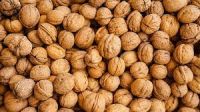 Walnut In Shell Bulk Nuts Wholesale Walnuts Unwashed