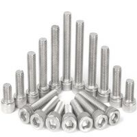 Stainless Steel Allen Screws