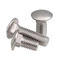 SS304 A2-70 Round Head Square Neck Bolts
