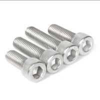 Stainless Steel Socket Head Screws