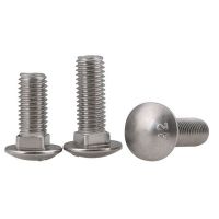 SS304 A2-70 Round Head Square Neck Bolts