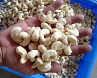 Process Cashew Nuts Kernels