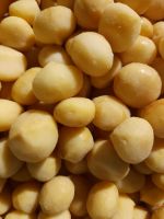 macadamia kernels
