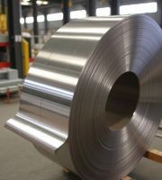 Nickel 201 Strips Suppliers in India