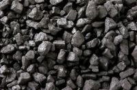 Steam Coal 200000mt Available