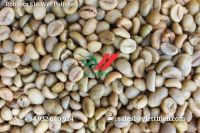 Robusta Green Coffee Beans- Wet Polished Quality- S18/s16/s14