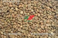 Robusta Green Coffee Beans- Clean Quality- S18/s16/s14