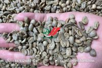 Vietnam Arabica Green Coffee Beans - Fully Washed Quality