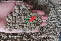 Vietnam Arabica Green Coffee Beans- Wet Polished Quality