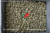 Arabica Green Coffee Beans- Fully Washed Quality- S18/s16/s14
