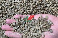 Vietnam Arabica Green Coffee Beans - Fully Washed Quality