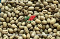 Culi Robusta - Peaberry Robusta green coffee beans