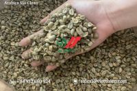 Vietnam Arabica Green Coffee Beans - Natural, Clean Quality