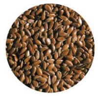 Flax Seeds