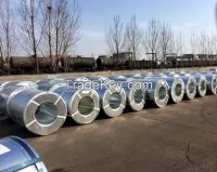Dc01 Dc02 Dc03 Dc06 st17 hot rolled steel metal galvanized steel coils