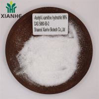 XIANHE factory Supply -Acetyl-L-carnitine hydrochlo 99% CAS 5080-50-2