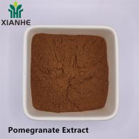 Pomegranate Extract 