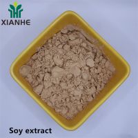 Soy extract 