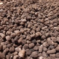 Compound organic-mineral pelleted fertilizer SAP G8-8-8