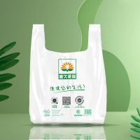 Biodegradable Takeaway Bag