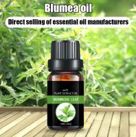 Blumea oil/Wormwood leaf oil