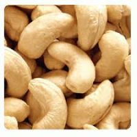 Cashew Nut