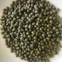 mung beans