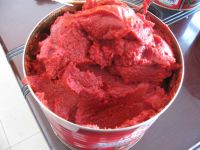 tomato paste