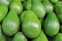 fresh avocados