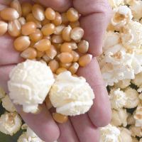 Mushroom popcorn kernels