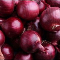  Fresh Red Onions