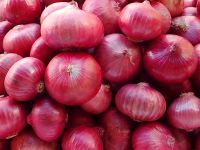  Fresh Red Onions