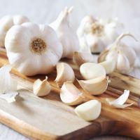 Fresh Garlic